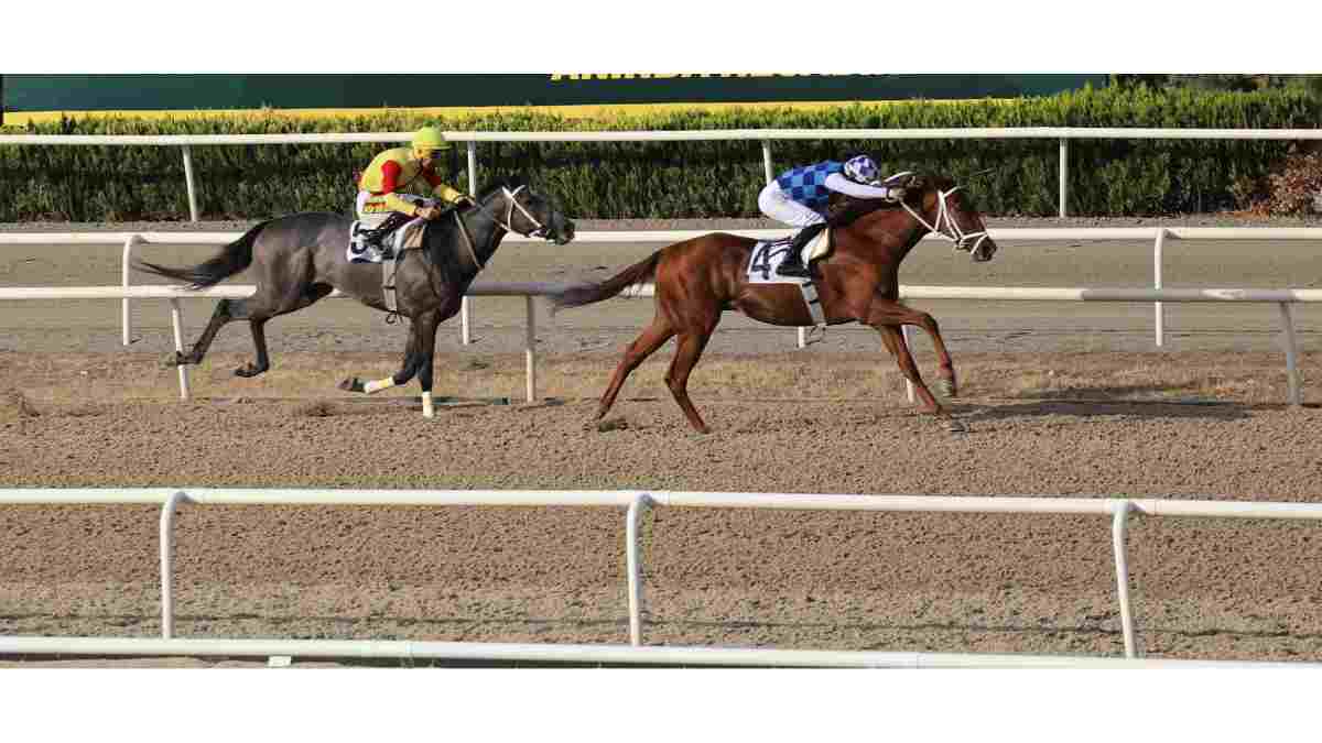 Bursa Büyükşehir Belediye Başkanlığı Koşusu'nu, 1.27.81'LİK derecesiyle Tejon Melero kazandı