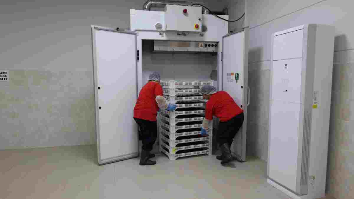 Belediyenin üretim ve istihdama yönelik bu tesisinde kış hazırlıkları başladı: Kurutulmuş ürünler ön planda...