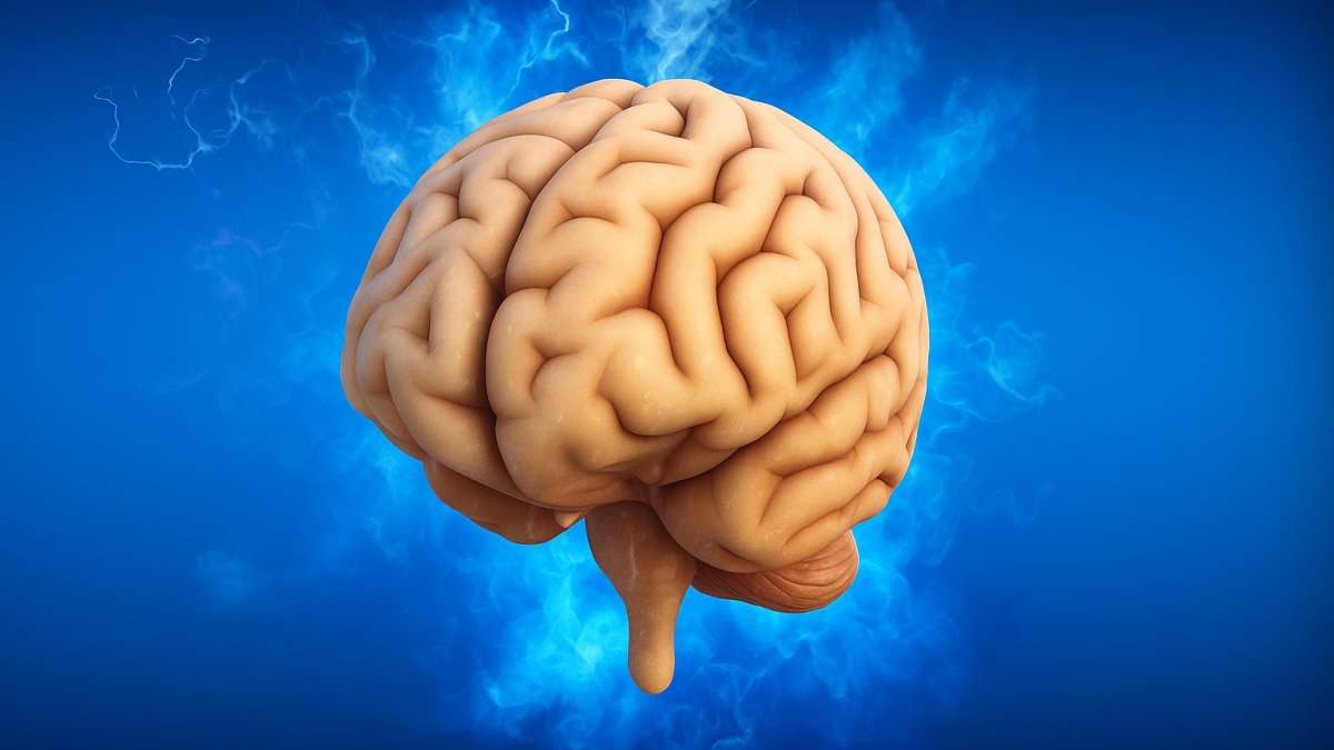 Uzman kardiyolog açıkladı! Beyin gücünü artıran o mucizevi sabah takviyesi