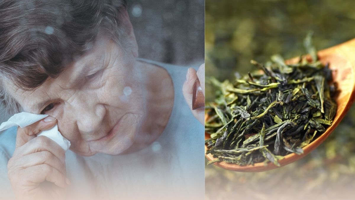 Alzheimer’a karşı doğal kalkan! Uzmanlar önerdi: Hafızayı güçlendiriyor, unutkanlığı azaltıyor!