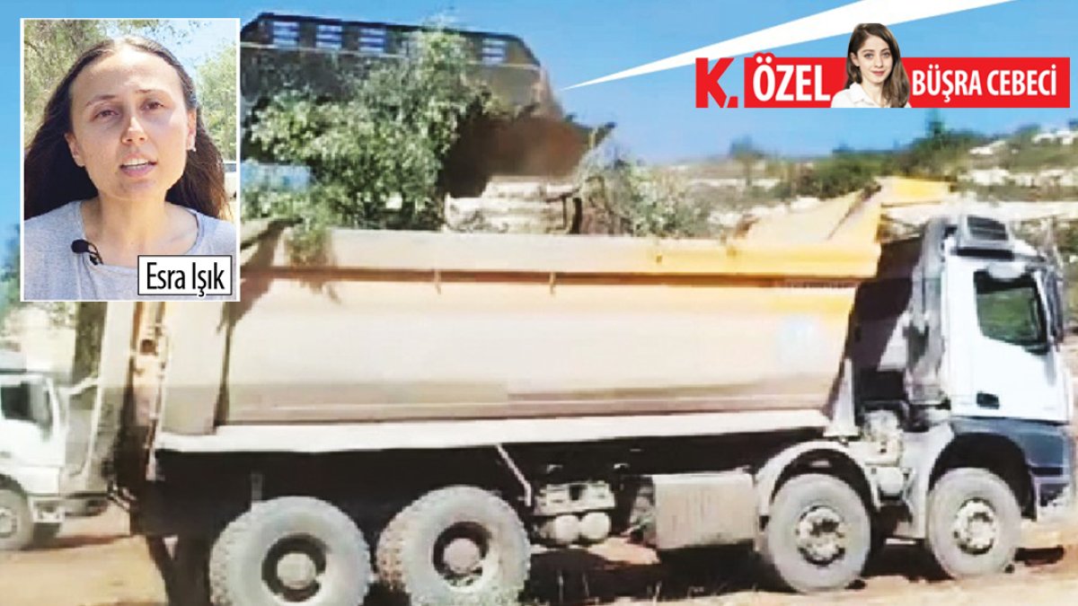 Akbelen’de zeytin kıyımına köylüler isyan etti: Taşınacak olsa böyle kesilmez