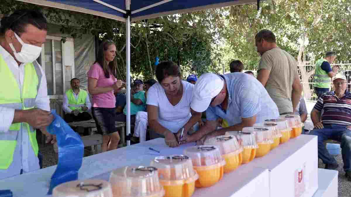 Büyükşehir’den üreticiye Akdeniz meyve sineği ile mücadele desteği