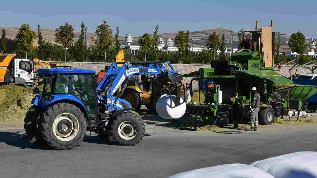 BAKAP’ta silajlık mısır hasadı başladı