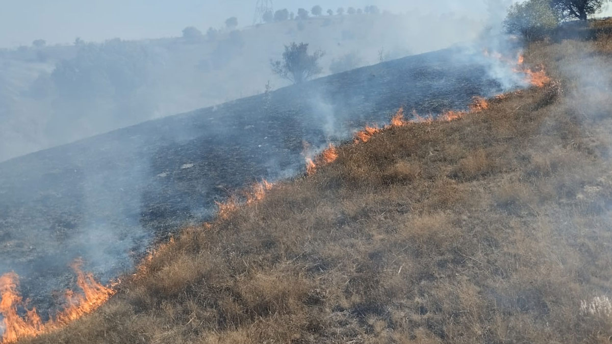 Tokat'ta makilik alanda çıkan yangın