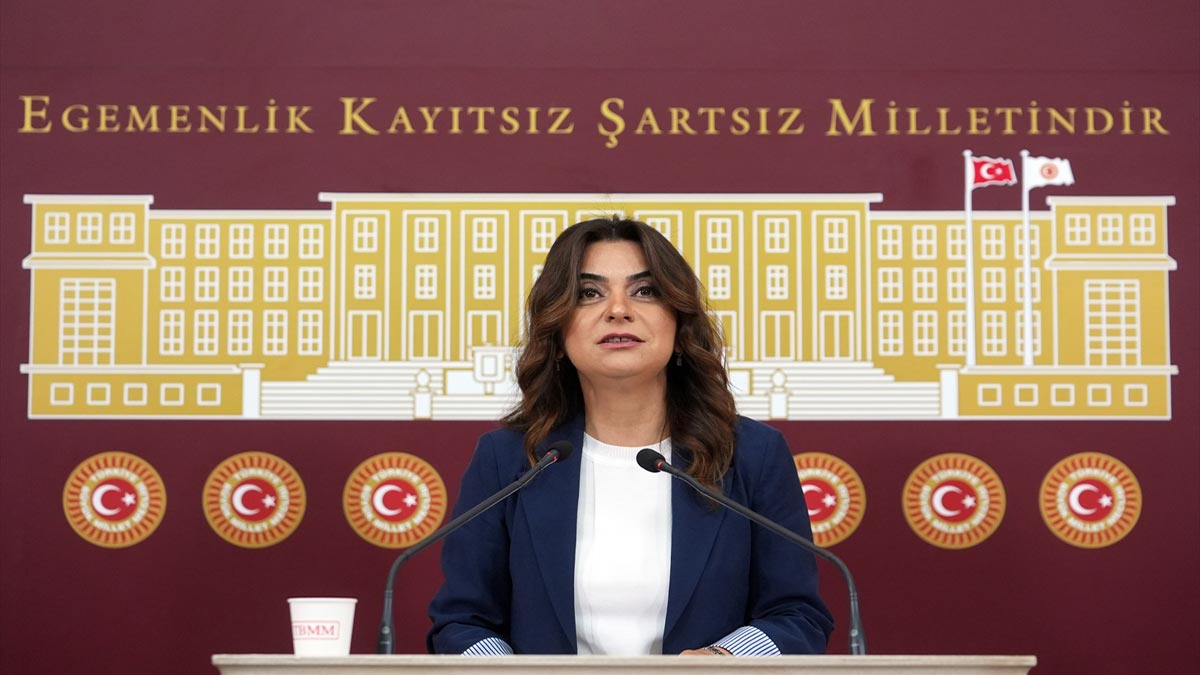 DEM Parti Grup Başkanvekili Koçyiğit: Komisyon'un bir an önce kritik yasaları gündemine alması gerekiyor