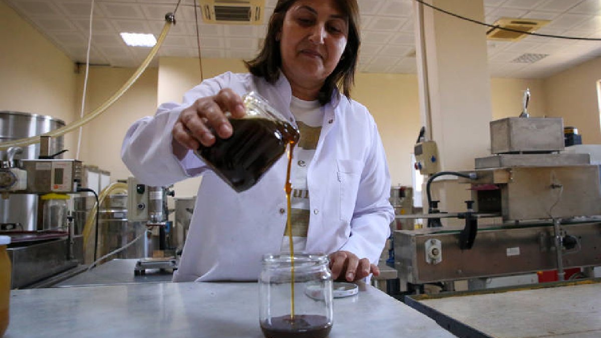 Tadını kimse beğenmiyor, şifasını duyan es geçmiyor! Sadece Hatay’da bulabilirsiniz: 850 gramı 450 TL’den satılıyor