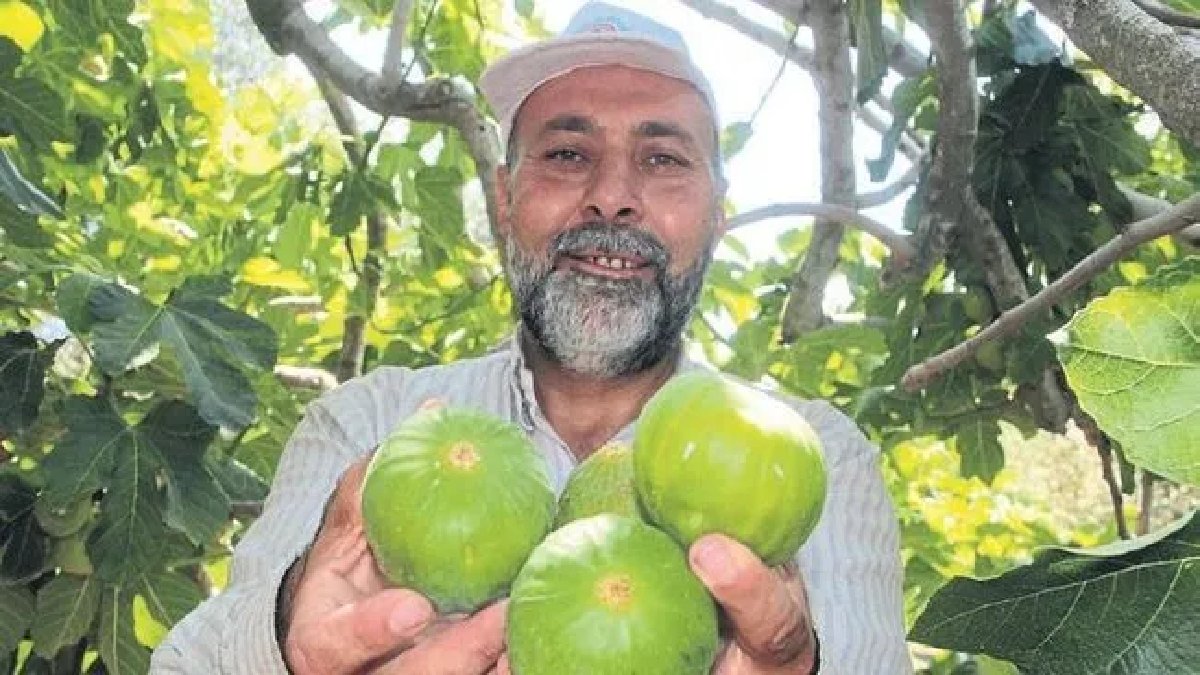 Yılda 7 kez ürün veriyor, dünyanın dört bir yanından sipariş yağıyor! Sabah mesaisi başladı, üretici çokça kazanıyor
