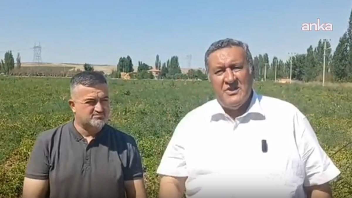 CHP'li Gürer'den 21. madde çağrısı: Milli gelirin yüzde biri çiftçilere verilsin