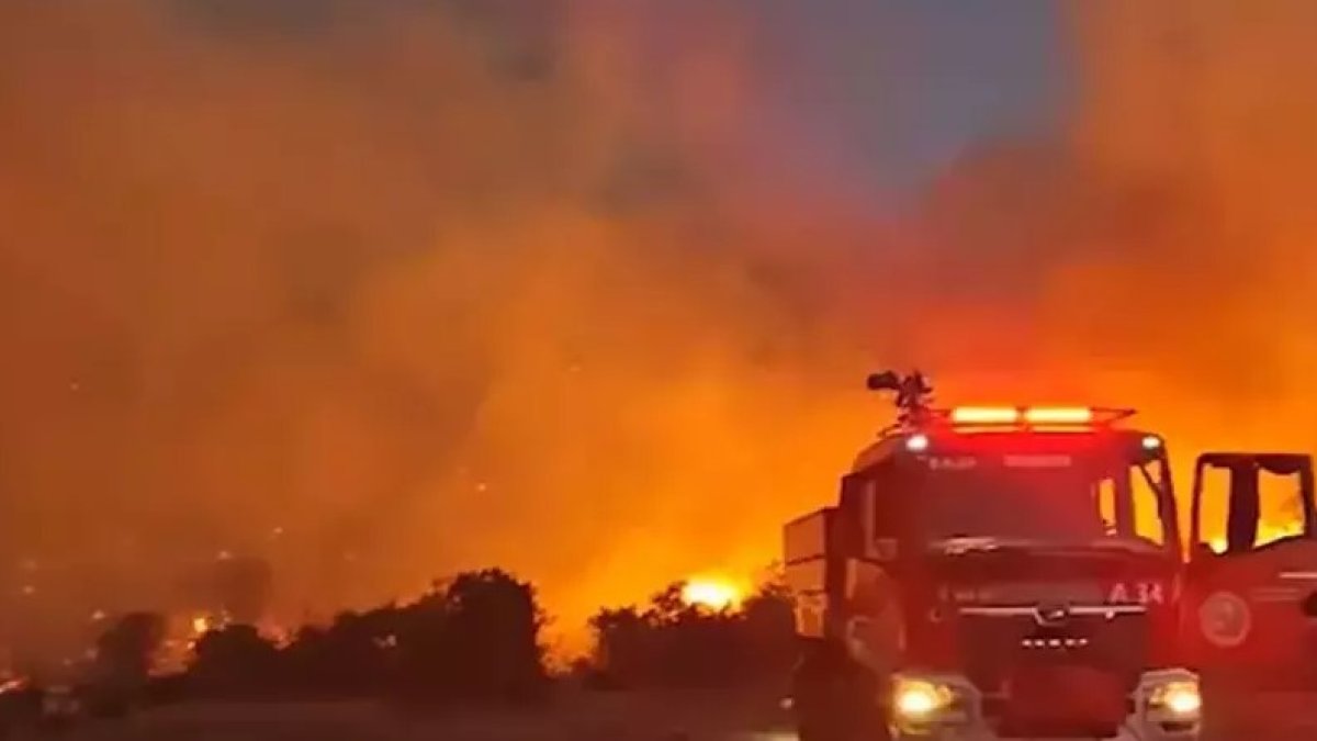Balıkesir'de orman yangını: Ekiplerin müdahalesi sürüyor