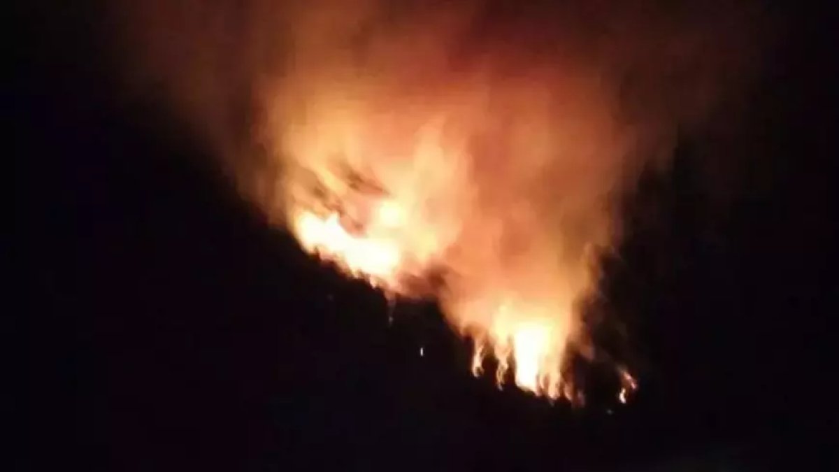 Muğla'da orman yangını: Ekipler alevlere müdahale ediyor