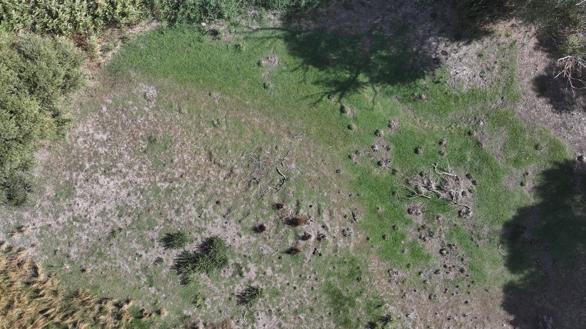 Kuraklık Edirne'yi vurdu: Göletler kurumaya devam ediyor