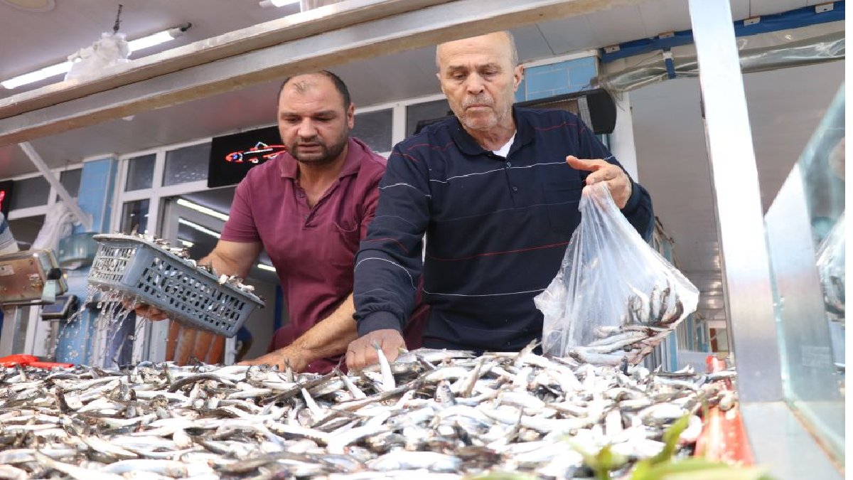 Havalar soğuyor fiyatlar düşüyor! Kilosu 200 TL’den satışa çıktı, düştükçe düşüyor