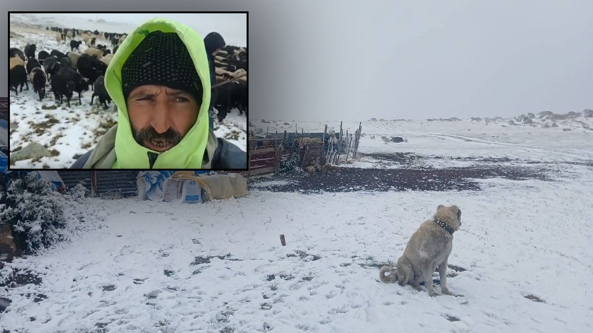 Artvin'e mevsimin ilk karı düştü: Tipi nedeniyle yaylada mahsur kaldılar