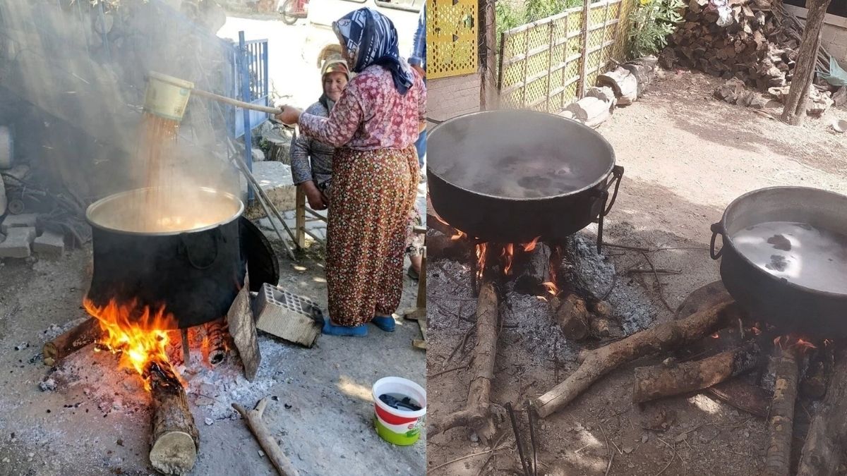 Hasat tamamlandı yeni aşama başladı!  Yetiştir, topla, kaynat: Şifa olarak tüketiliyor
