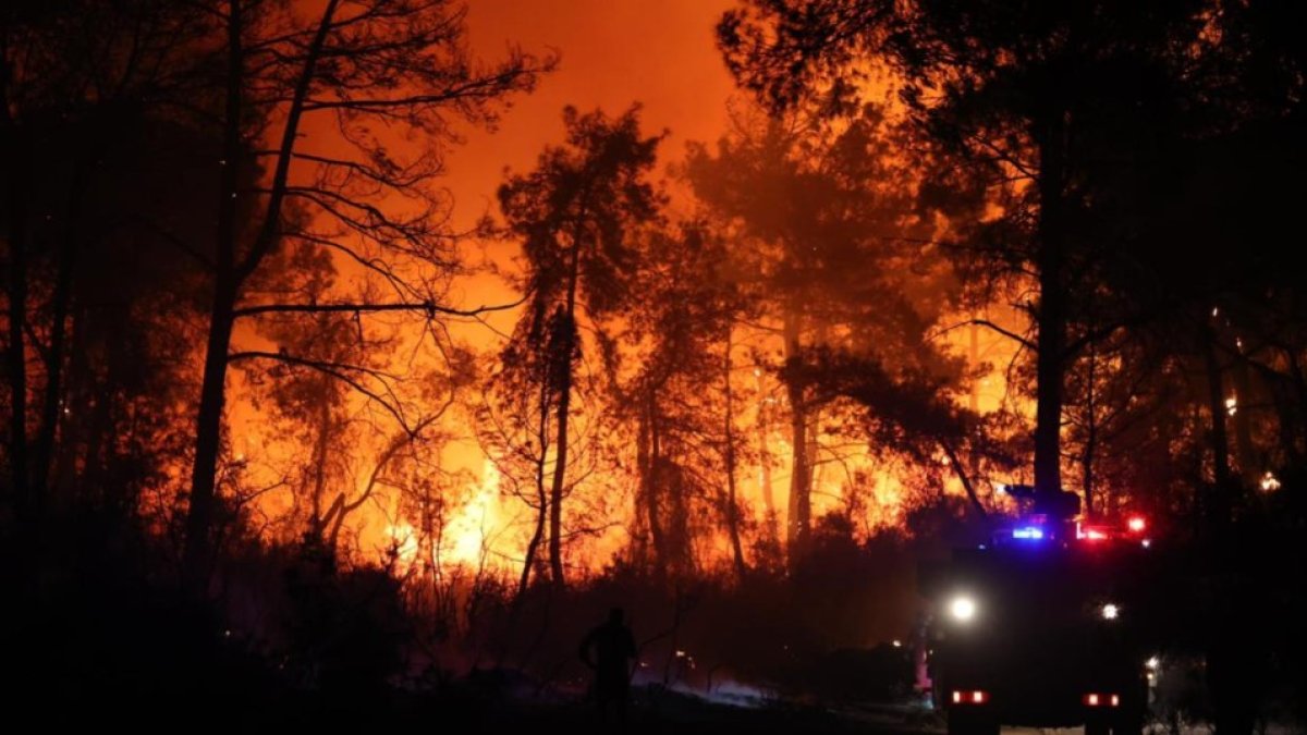 Antalya Aksu'da orman yangını çıktı