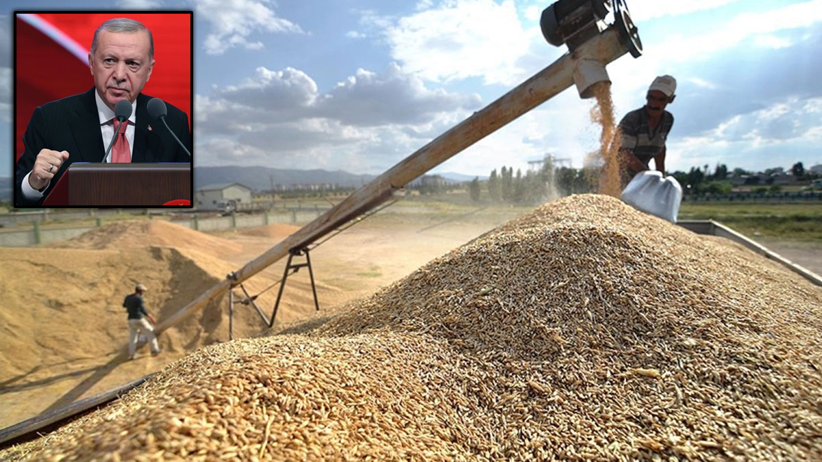 Hububat üreticileri Erdoğan'a seslendi: Biz bu ülkenin üvey evladı değiliz