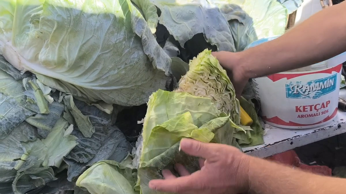 Alım gücü düşmeye devam ediyor: Vatandaşlar lahanayı çeyrek alıyor