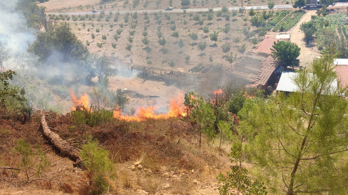 Balıkesir'de orman yangını