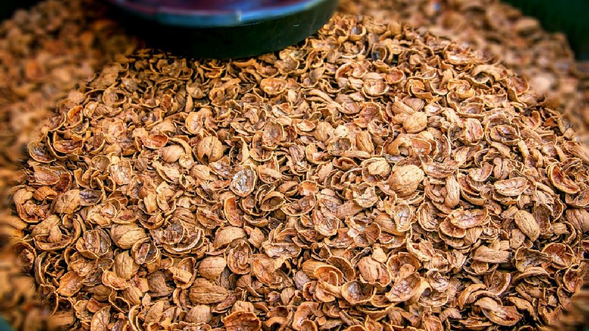 İçini yiyen dışını atıyor! Faydasını bilseniz 1 yıllık stok yapardınız: Atmadan önce iki kez düşünün