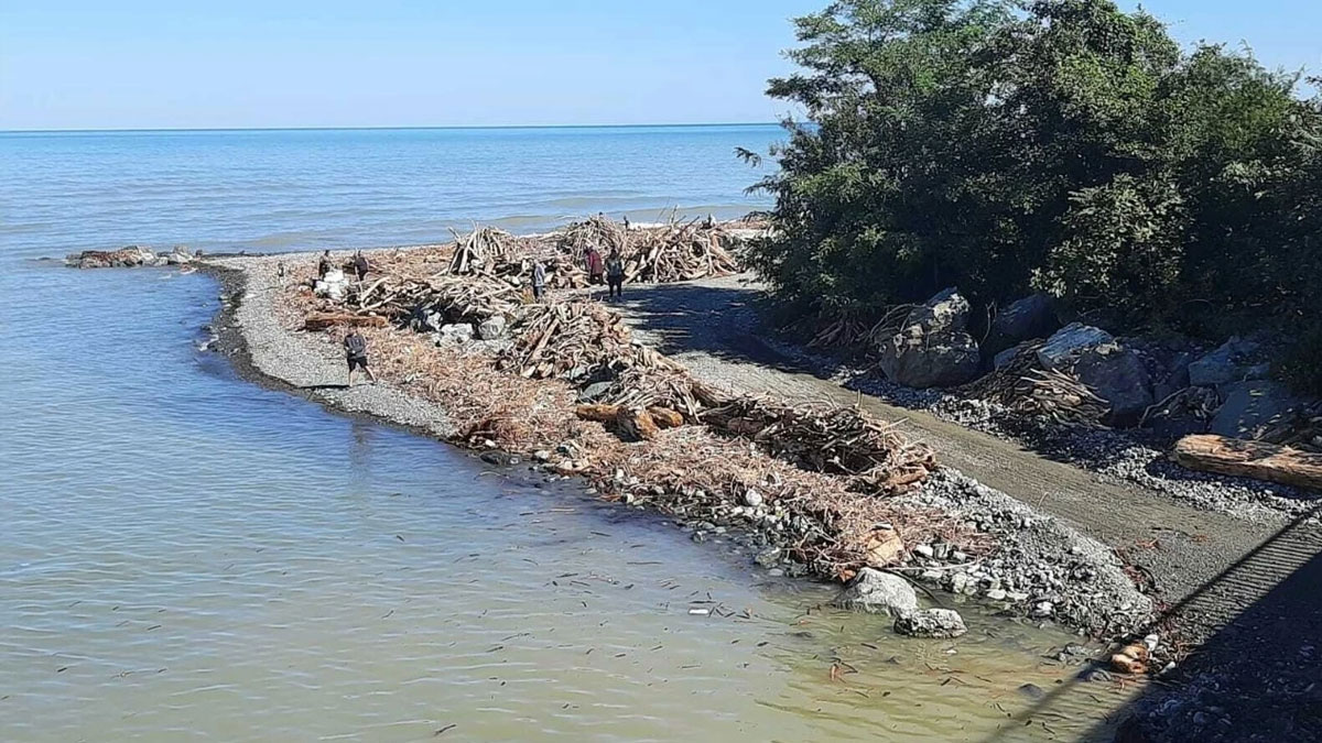 Her kış aynı manzara: Artvin'de fırtınadan geriye yakacak kaldı
