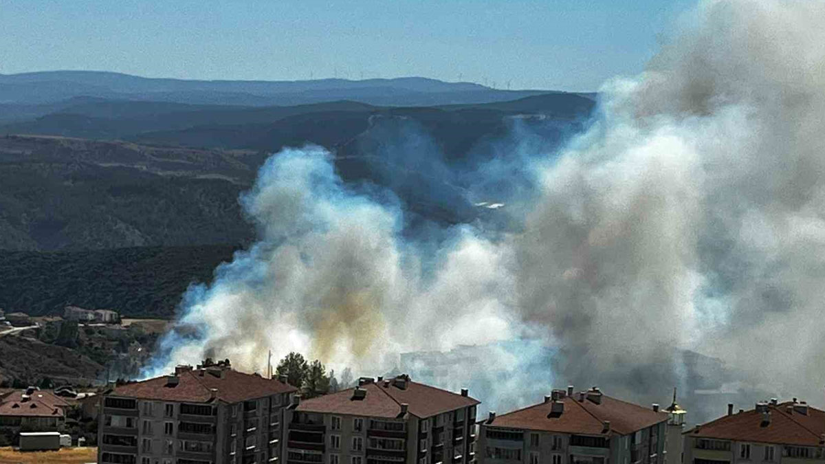 Bilecik'te salça yaparken 30 dönüm makiyi kül etti