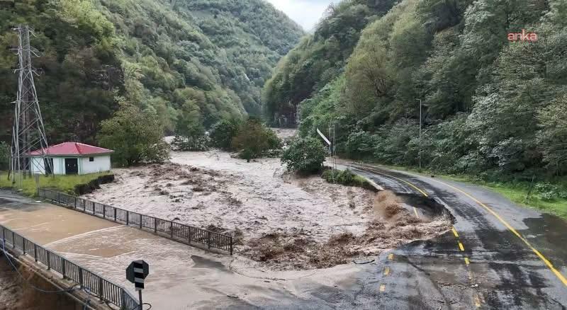 Selden kaçan yavru ayılar tünele sığındı