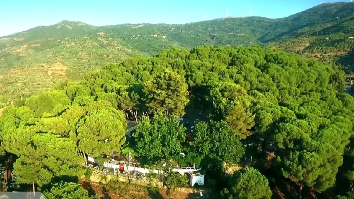 İzmirliler kimseyle paylaşmıyor! Ormanın arasında gizlenen bir vaha: Bir kez keşfeden elini eteğini çekemiyor