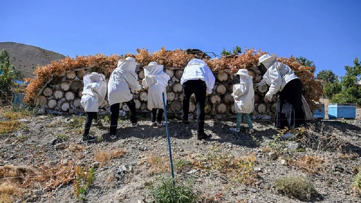 Şehirdeki kariyerini bıraktı, doğayla kazanmaya başladı: Ailesi en büyük yardımcısı: 3 yılda kazancını katladı!