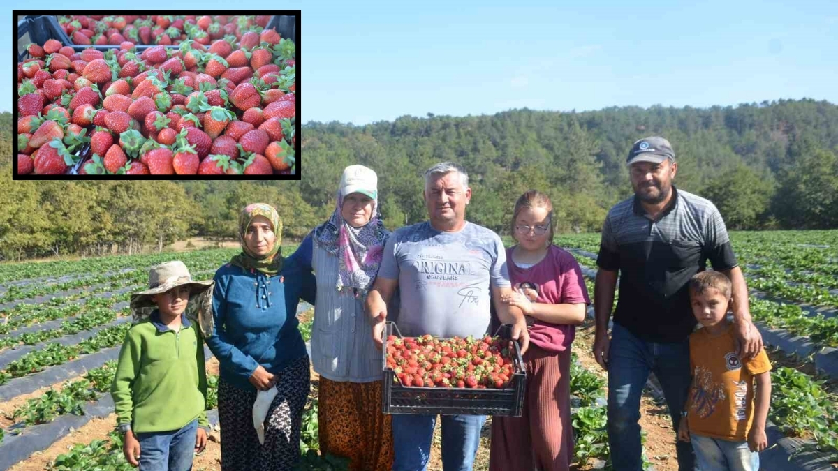 25 yıllık işlerini bırakıp yeni serüvene atıldılar! Devlet desteğiyle 5 yılda üretimi 30 kat arttırdılar: Perk çiftinin hikayesi