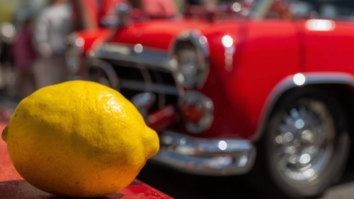 Eylül geldi hepsi ortaya çıktı! En sevdikleri ortam arabaların içi: Çözümü ise bir limondan geçiyor!