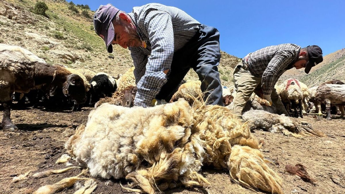 1 yıl boyunca kimse ellemiyor, 200 tanesi birden 3 dakikada dımdızlak kalıyor! Erzincan’da zorlu mesai başladı