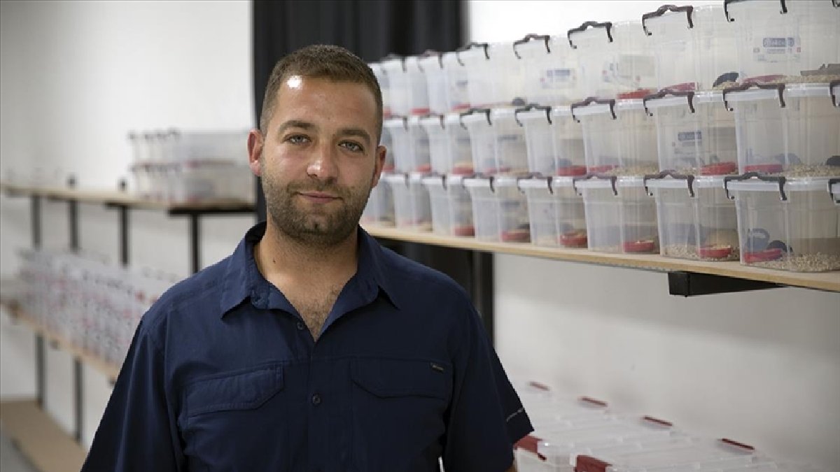 İşi tehlikeli ama kendi korkusuz! Ayda 1 sağıyor, kansere çözüm oluyor: 450 tanesinden 1 gram çıkıyor