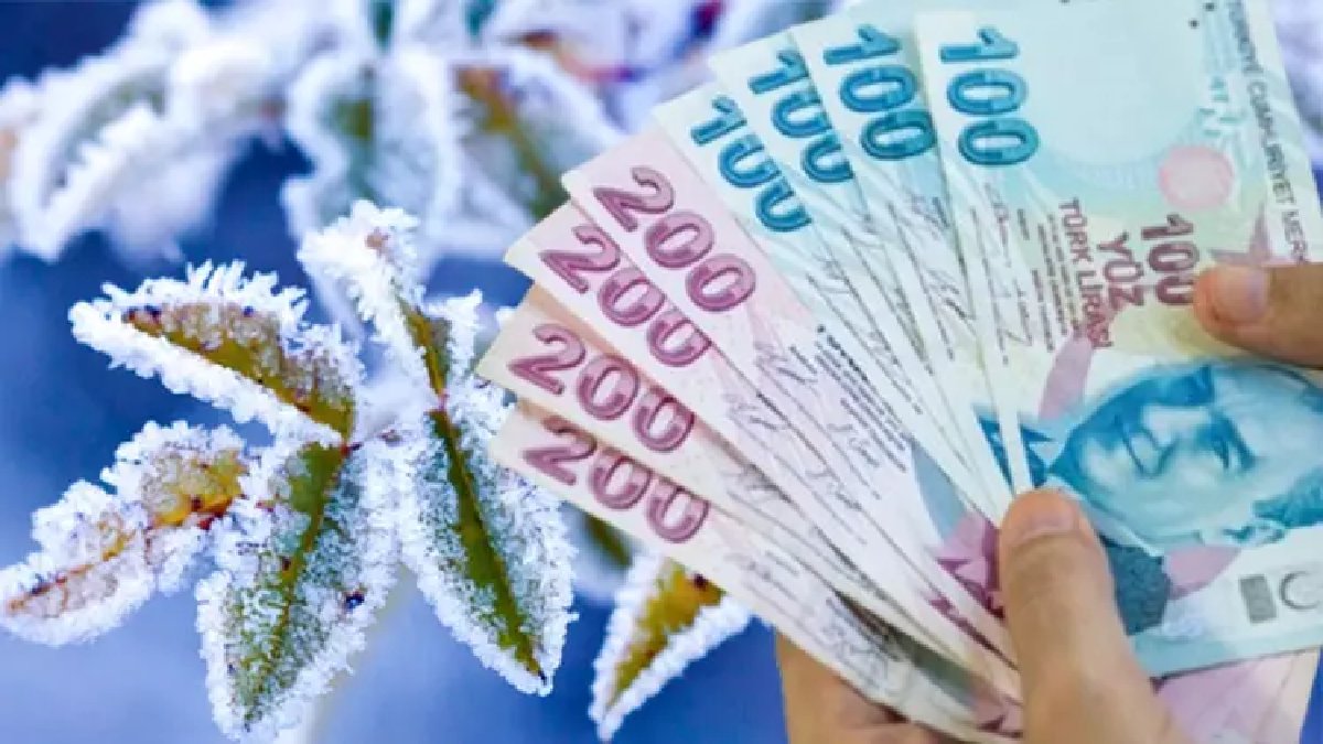 Zirai don desteği ne zaman yatacak, kimler yararlanacak? 2025 Zirai Don Ödeme Desteği