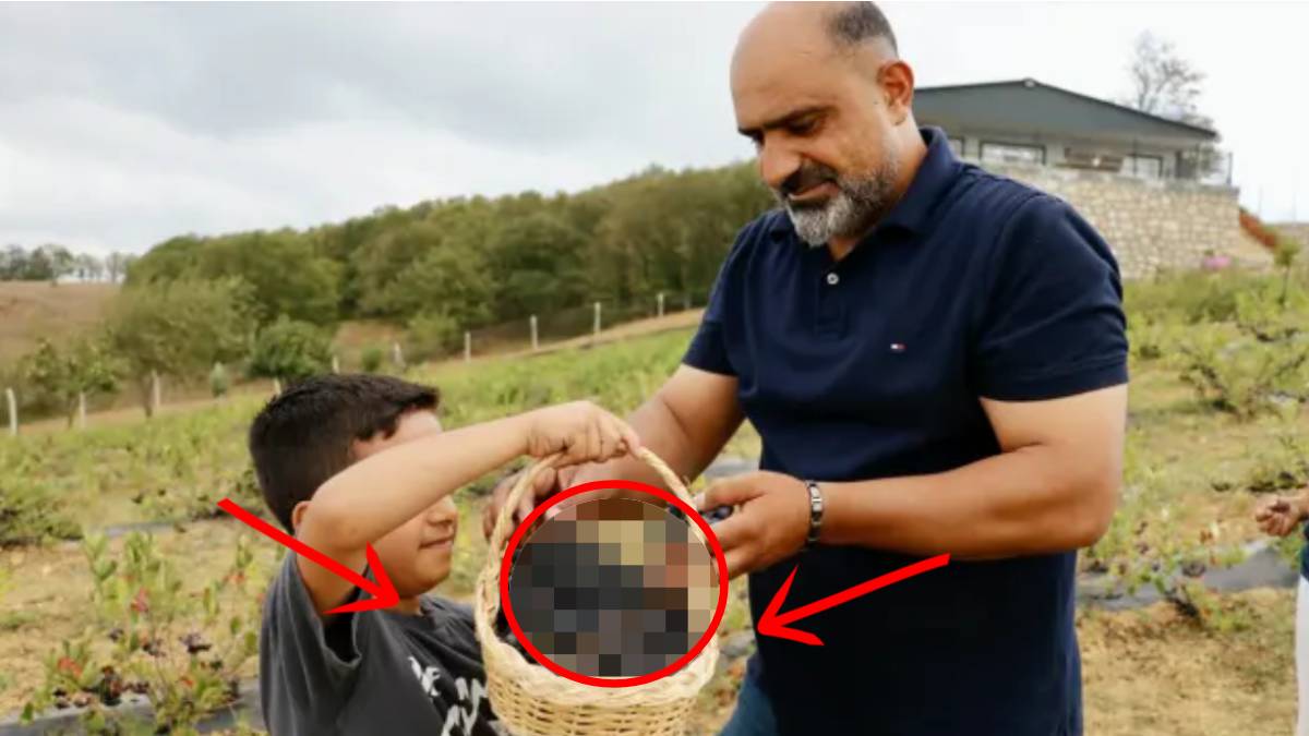 Mide rahatsızlığı için tüketti yeni gelir kapısı oldu! Oto tamircilikten üreticiliğe: Dalından koparmadan satıyor!