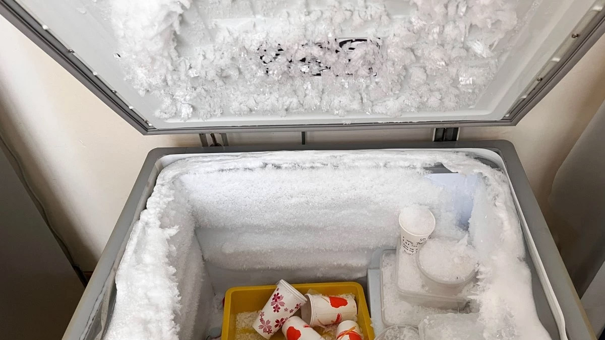 Japonya'da akılalmaz olay! 20 yıl boyunca ölen kızının cesedini derin dondurucuda sakladı