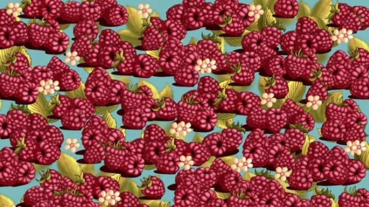 Gerçek zekiler ortaya çıkacak! Ahududular arasındaki gizli çileği 12 saniyede bulun