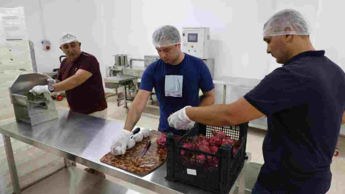 Yerel üreticilerin emek ve maddi kaybı en aza iniyor! Bu Kurutma Tesisi'nde ihraç fazlası ürünler israf olmuyor