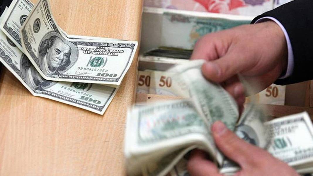 Ekonomistlerin enflasyon ve dolar anketi sonuçlandı: Yıl sonunda dolar 44 lira olacak