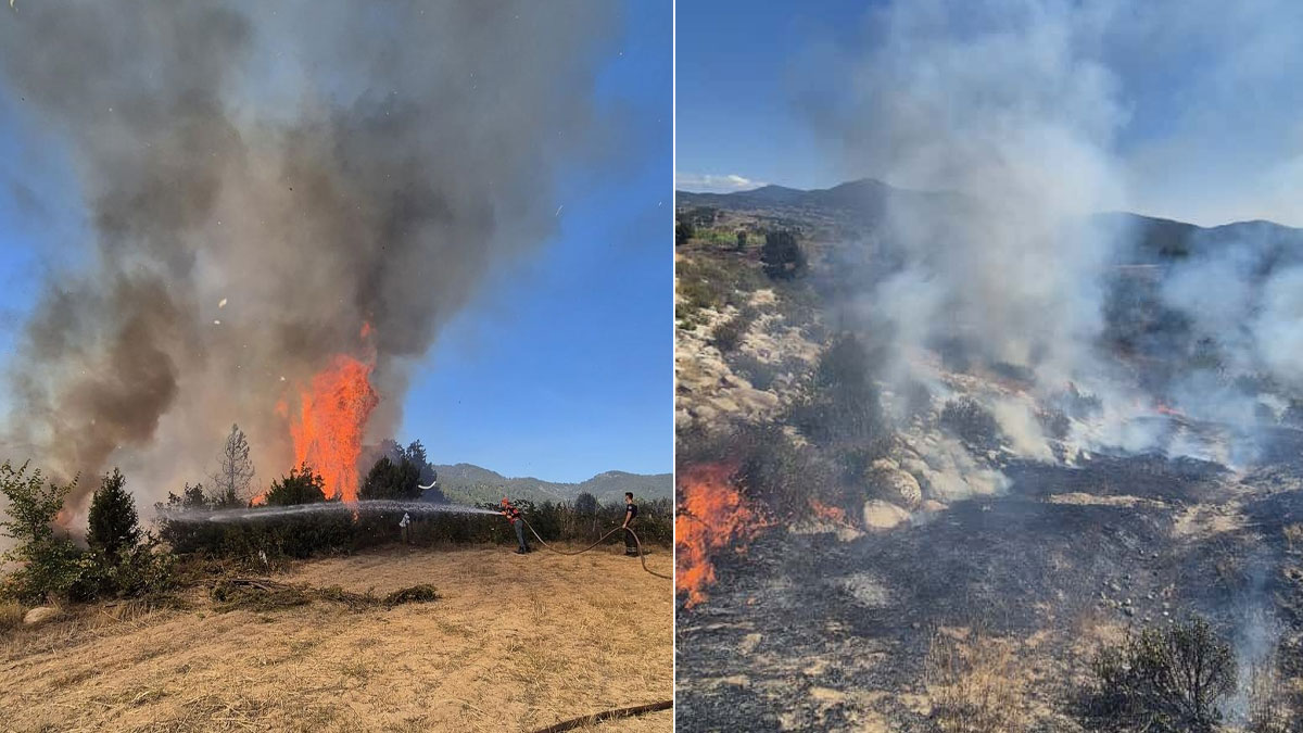 Bursa'da orman yangını