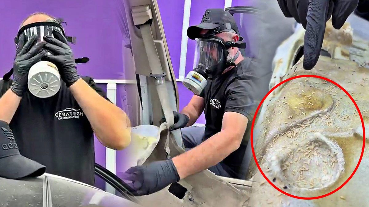 Aracınızın içine süt dökülürse ne olur? Gözlerinize inanamayacaksınız