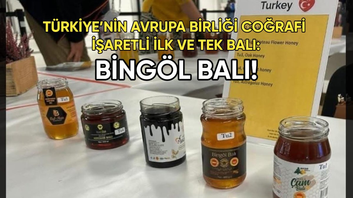 İşte Türkiye’nin Avrupa Birliği coğrafi işaretli ilk ve tek balı Bingöl Balı! Bu başarı tesadüf değil