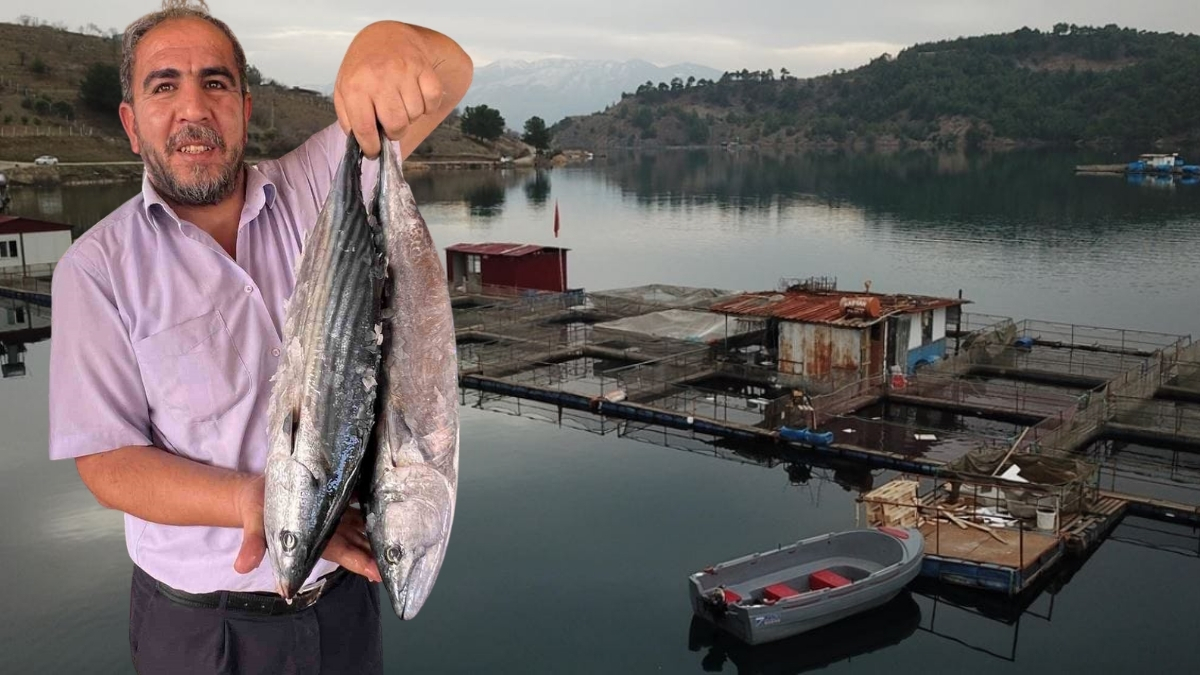 Denizi yok ama balık üretiminde öncü! Deprem sonrası tam 54 ülkeye ihracat yapmaya başladı