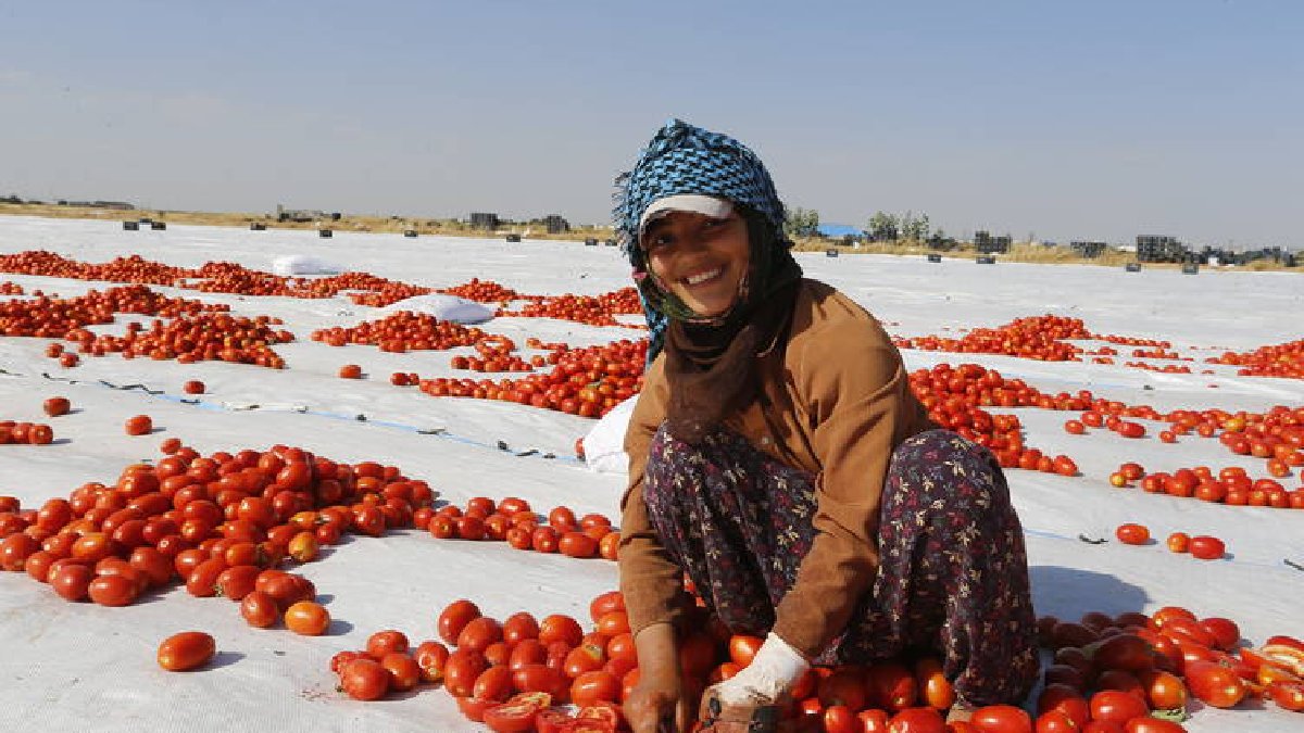 50 derece sıcakta bile yüzleri gülüyor, Diyarbakır’dan dünyaya ulaşıyor! İtalya’da da görebilirsiniz Fransa’da da