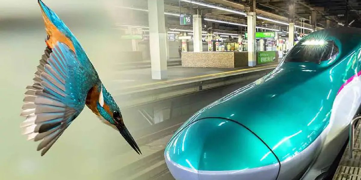 Japon mühendisler düşündü çözümü ‘Yalı Çapkını’nda buldu! Teknolojik gelişmelere doğadan çözüm!