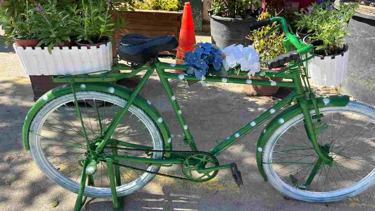 Atıklar sanata dönüşüyor