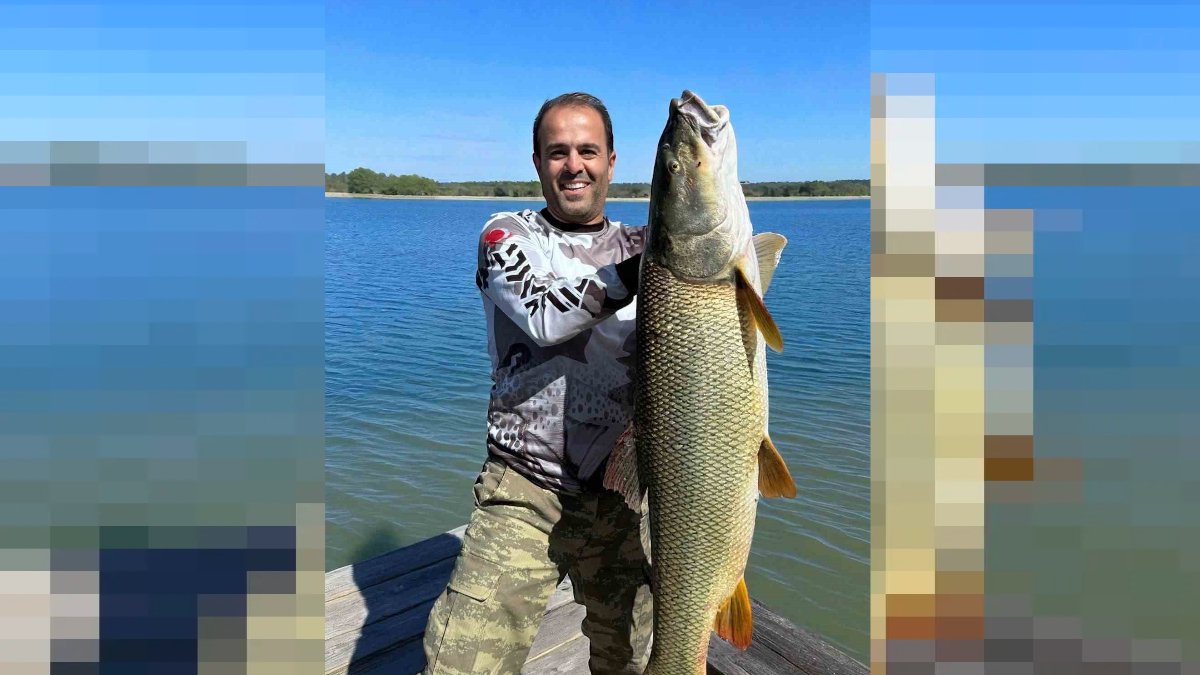 Amatör balıkçının oltasına dev turna balığı takıldı! Keban Barajı'nda dev sürpriz: Görenler gözlerine inanamadı