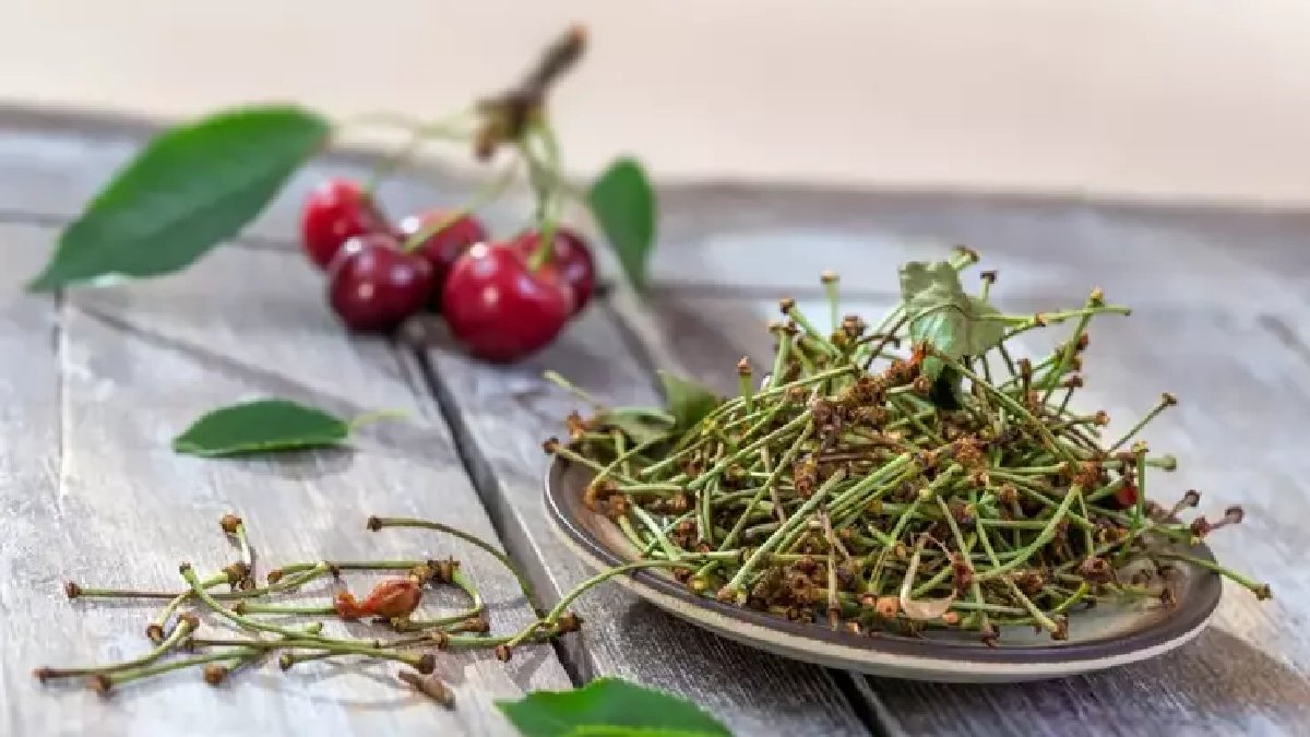 Doğanın gizli mucizesi! Herkes çöp diye atıyor ama şifası gözden kaçıyor! Böbrekleri destekliyor, ödemi atıyor