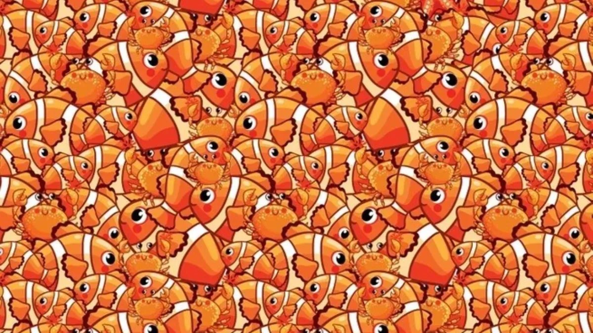 Kartal gözlüler bile zor fark eder! 5 saniyede denizyıldızını fark edebilir misiniz?