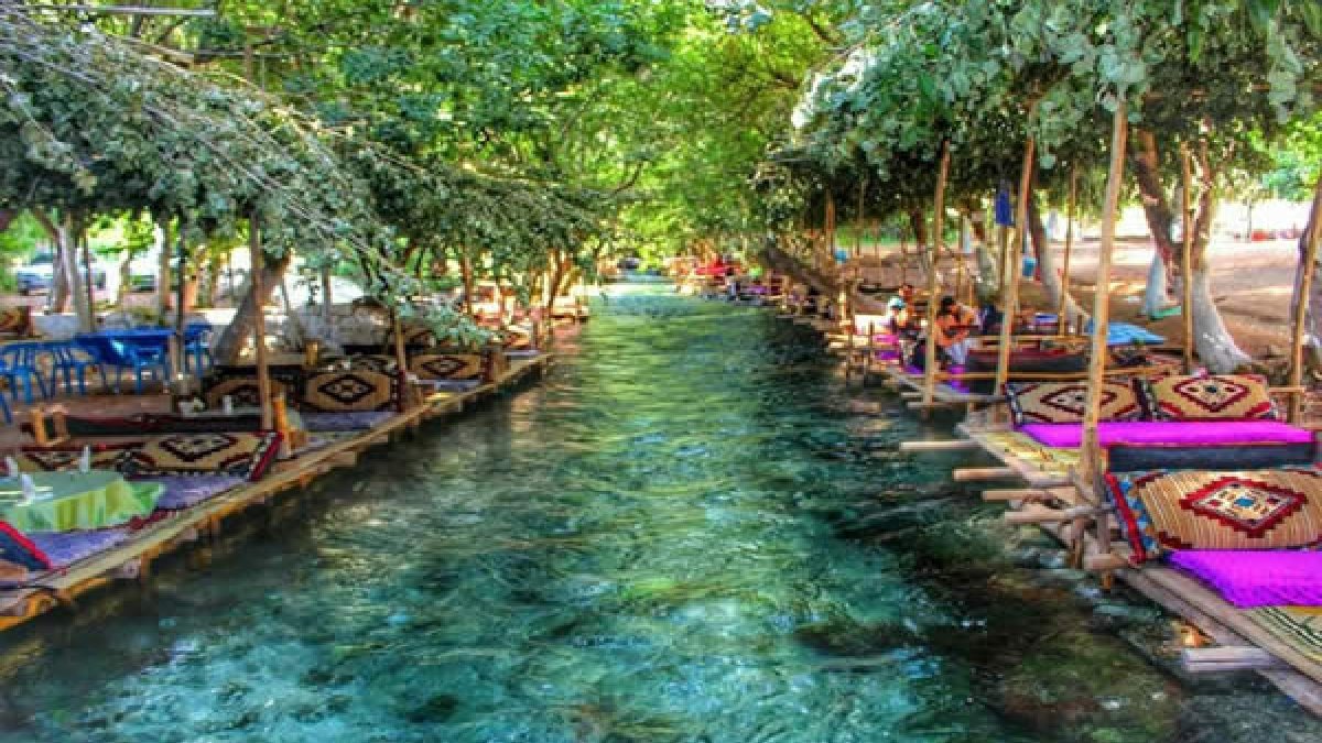 Antalya ve Muğla’nın pabucu dama atılacak!  ‘Ava Sıpi’ diye biliniyor, serinlemek isteyen kendini atıyor!