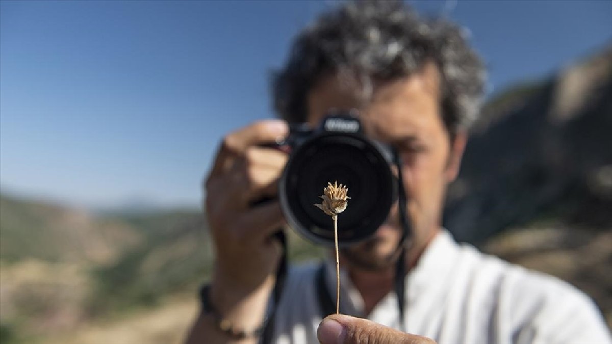 Konya’dan kalktı gitti Tunceli’de keşfetti! Envantere 5 yeni bitki türü eklendi